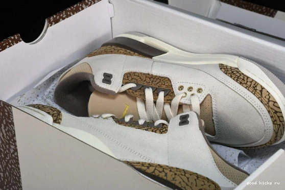 Retro Jordan  CT8532-102 CT8532-102 Palomino  3 0401